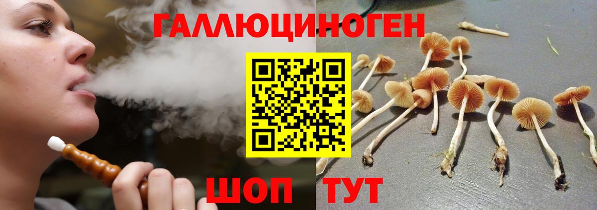 Псилоцибиновые грибы GOLDEN TEACHER  Вход с VPN  Джанкой 